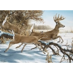 Breaking Cover - Ron van Gilder