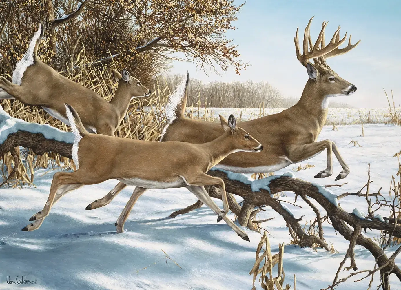 Breaking Cover - Ron van Gilder