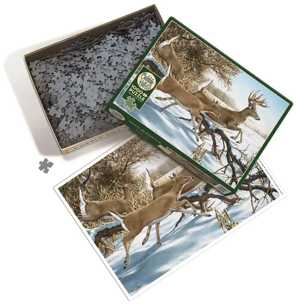 Breaking Cover - Ron van Gilder