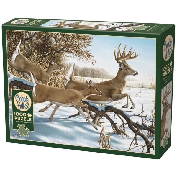 Breaking Cover - Ron van Gilder