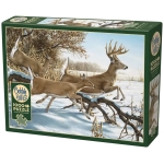 Breaking Cover - Ron van Gilder