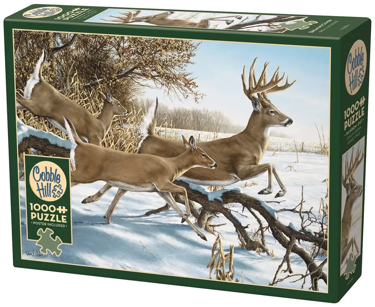 Breaking Cover - Ron van Gilder