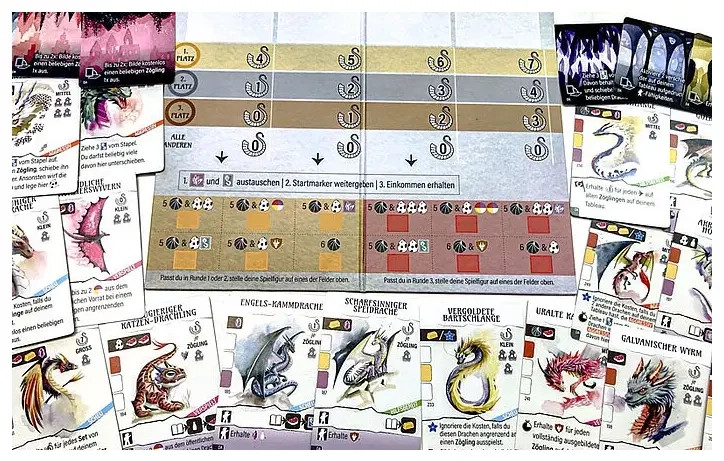 Schwingenschlag: Die Drachenakademie