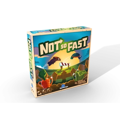 Not So Fast - DE-FR-IT-EN