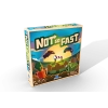 Not So Fast - DE-FR-IT-EN