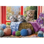 Strickende Katzen - XXL Teile