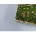 Earthborne Rangers - Core Set - EN (Leicht defekte Verpackung)