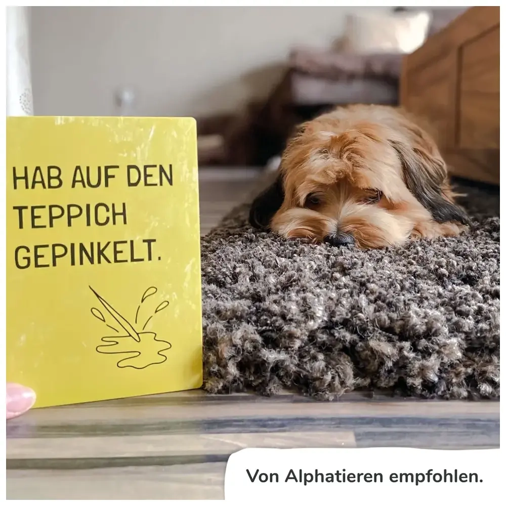 Meilensteinkarten Hunde
