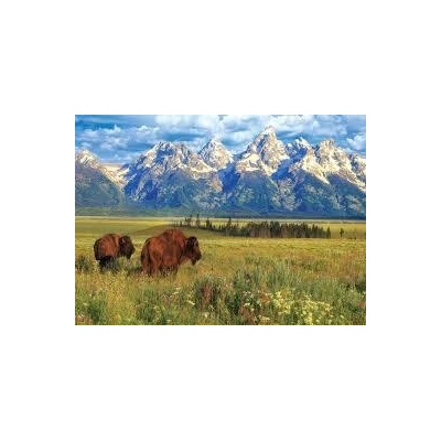 Grand Teton National Park