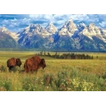 Grand Teton National Park
