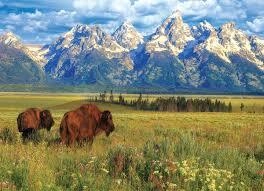 Grand Teton National Park