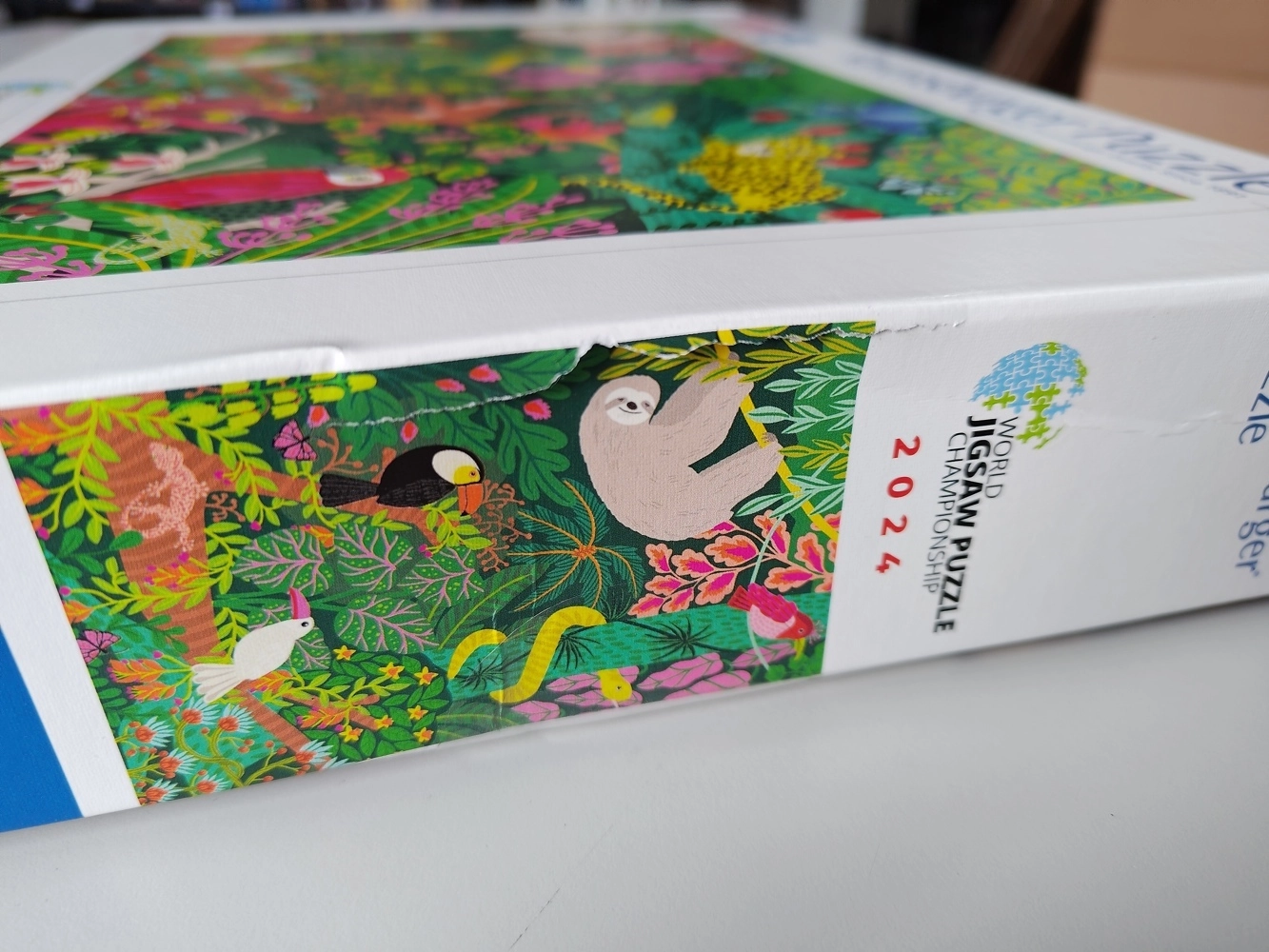 Magical Rain Forrest (Defekte Verpackung)