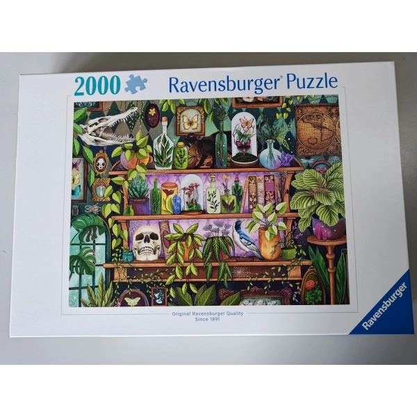 Die Lieblingsdinge einer Hexe (Leicht defekte Verpackung)