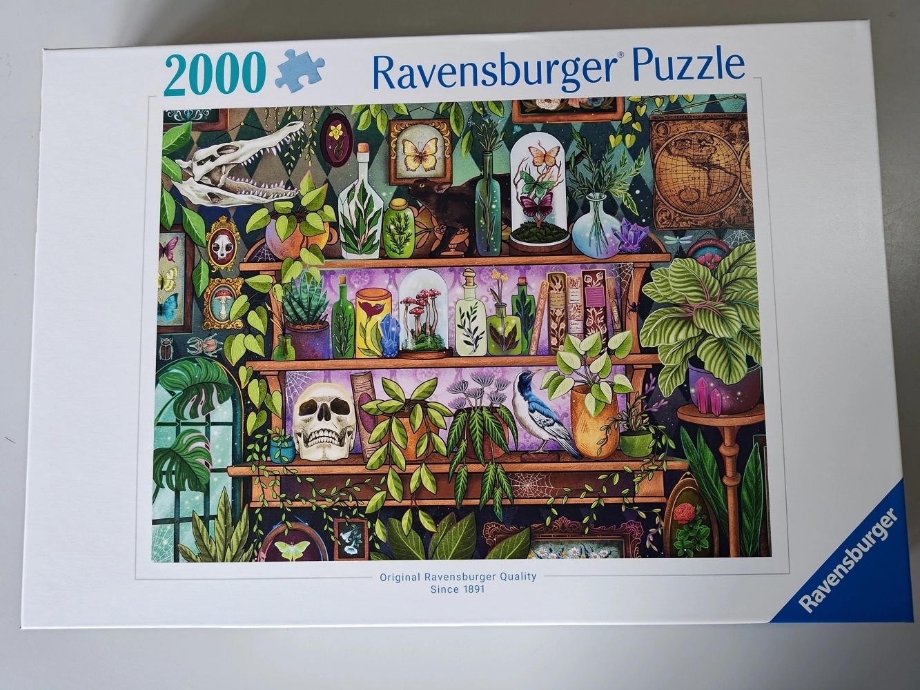 Die Lieblingsdinge einer Hexe (Leicht defekte Verpackung)