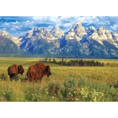 Grand Teton National Park