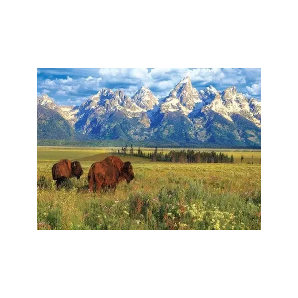 Grand Teton National Park