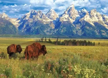 Grand Teton National Park