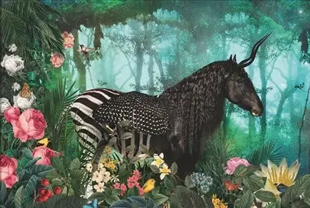 Equpidae - André Sanchez