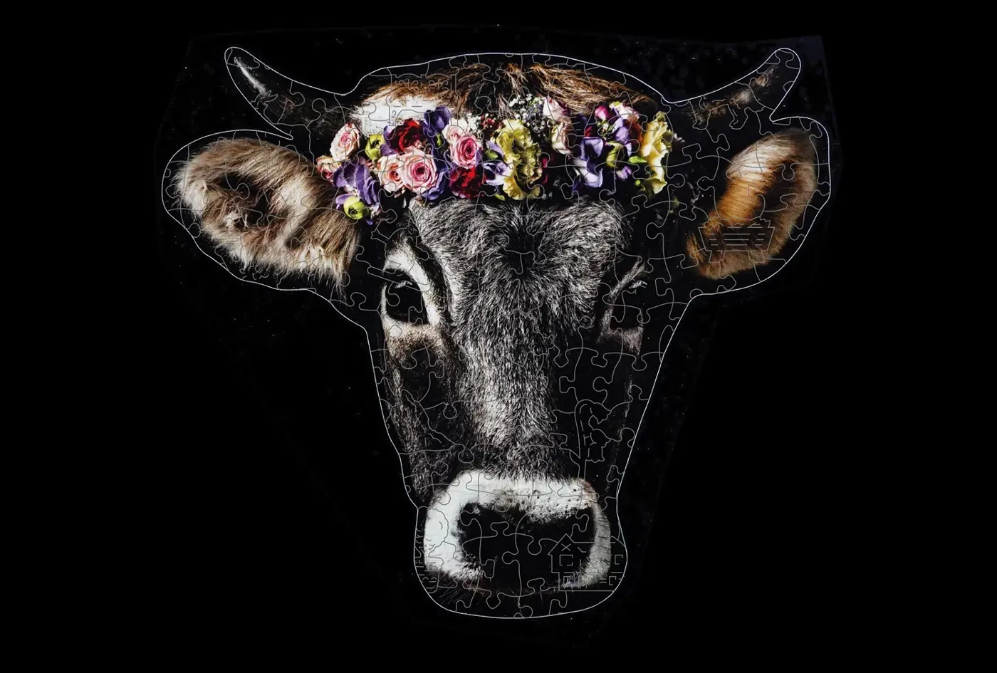 Rätisches Grauvieh Käthy