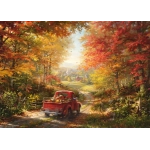 Zurück nach Hause - Blend Cota