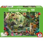 Bunte Tierwelt im Dschungel