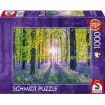 Zarte Glockenblumen im Wald