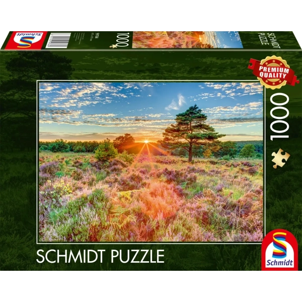 Heide im Sonnenuntergang