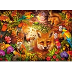 Blüten, Fell und Federn