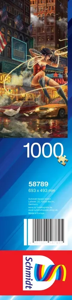 DC - Justice League - The Women of DC - Thomas Kinkade