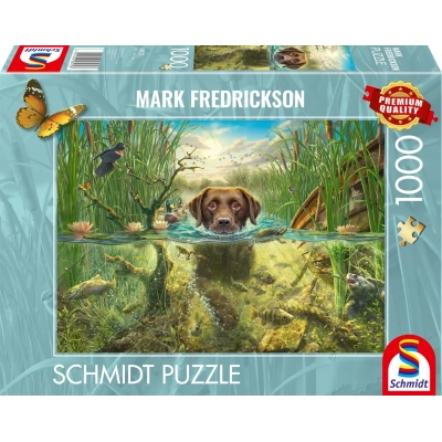 Brauner Labrador im kühlen Nass