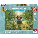 Brauner Labrador im kühlen Nass