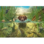 Brauner Labrador im kühlen Nass