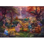 Disney - Robin Hood - Thomas Kinkade
