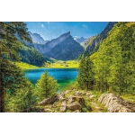 Holzpuzzle - CH Seealpsee