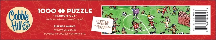 Verrückter Fussballplatz