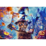 Little Witch Cat