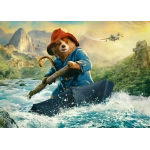 Paddington in Peru