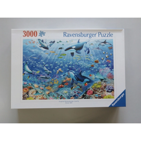 Bunter Unterwasserspass (Eingedellte Schachtel)