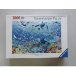 Bunter Unterwasserspass (Eingedellte Schachtel)
