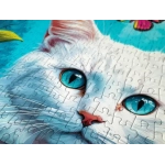 Weisse Katze mit Schmetterlingen