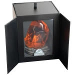 Jurassic Park Lampe mit USB-C Amber