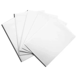 Dragon Shield Standard Sleeves - White (100 Sleeves)