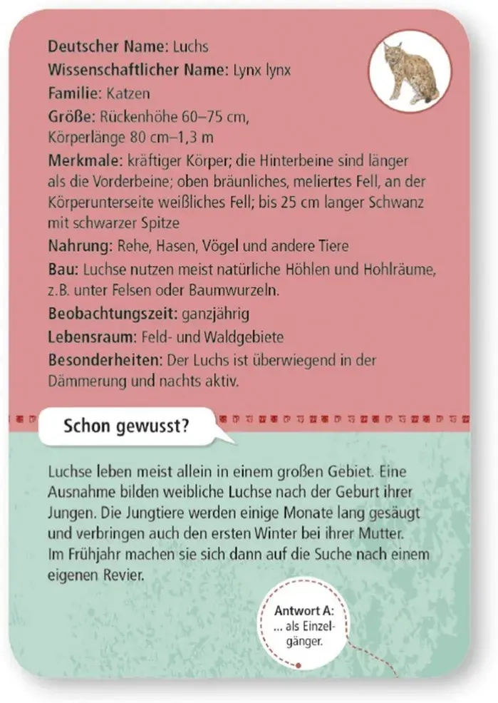 Expedition Natur - 50 heimische Wald- und Wildtiere