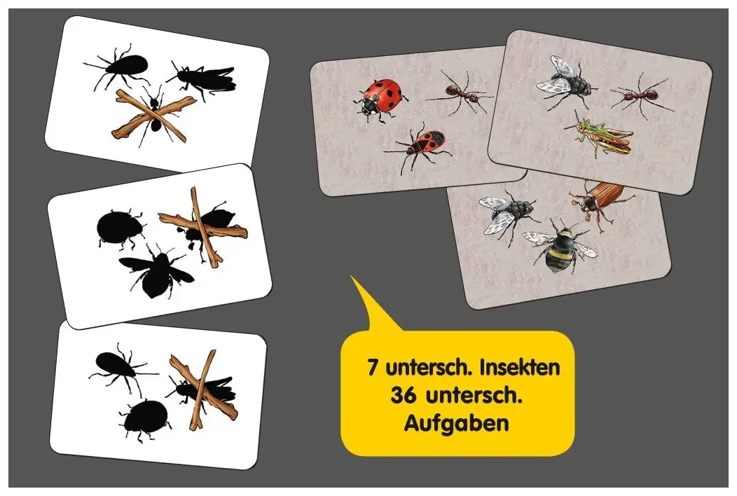 Marienkäfer und so