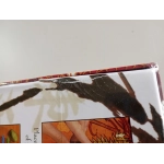 Tsuro - EN (beschädigte Schachtel)