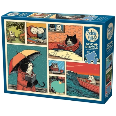 Katzen und Bücher