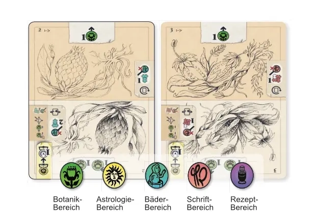 Das Voynich Mysterium - DE