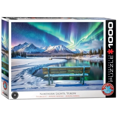 Polarlichter im Winter