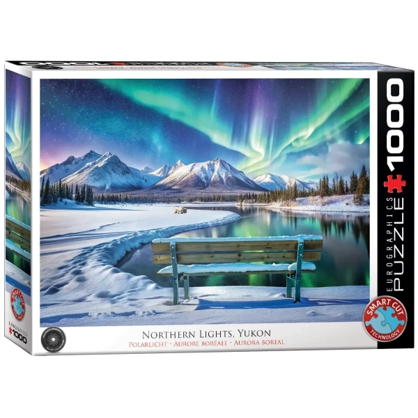 Polarlichter im Winter