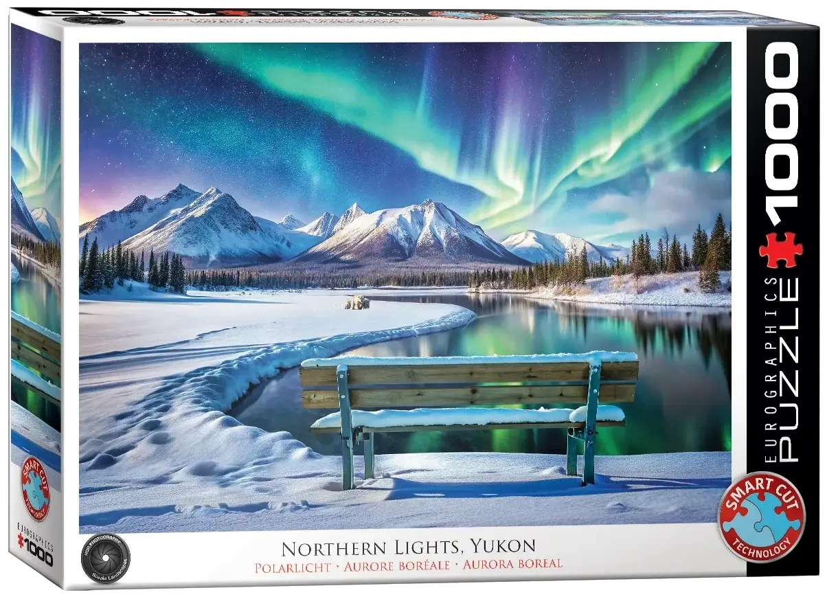 Polarlichter im Winter